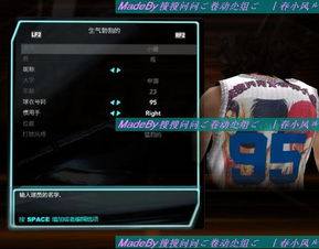 如何轻松使用NBA 2K10生涯修改器？全面详解来了！ 4