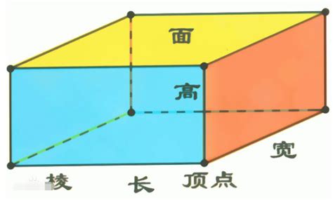 揭秘长方体周长计算的奥秘公式 4