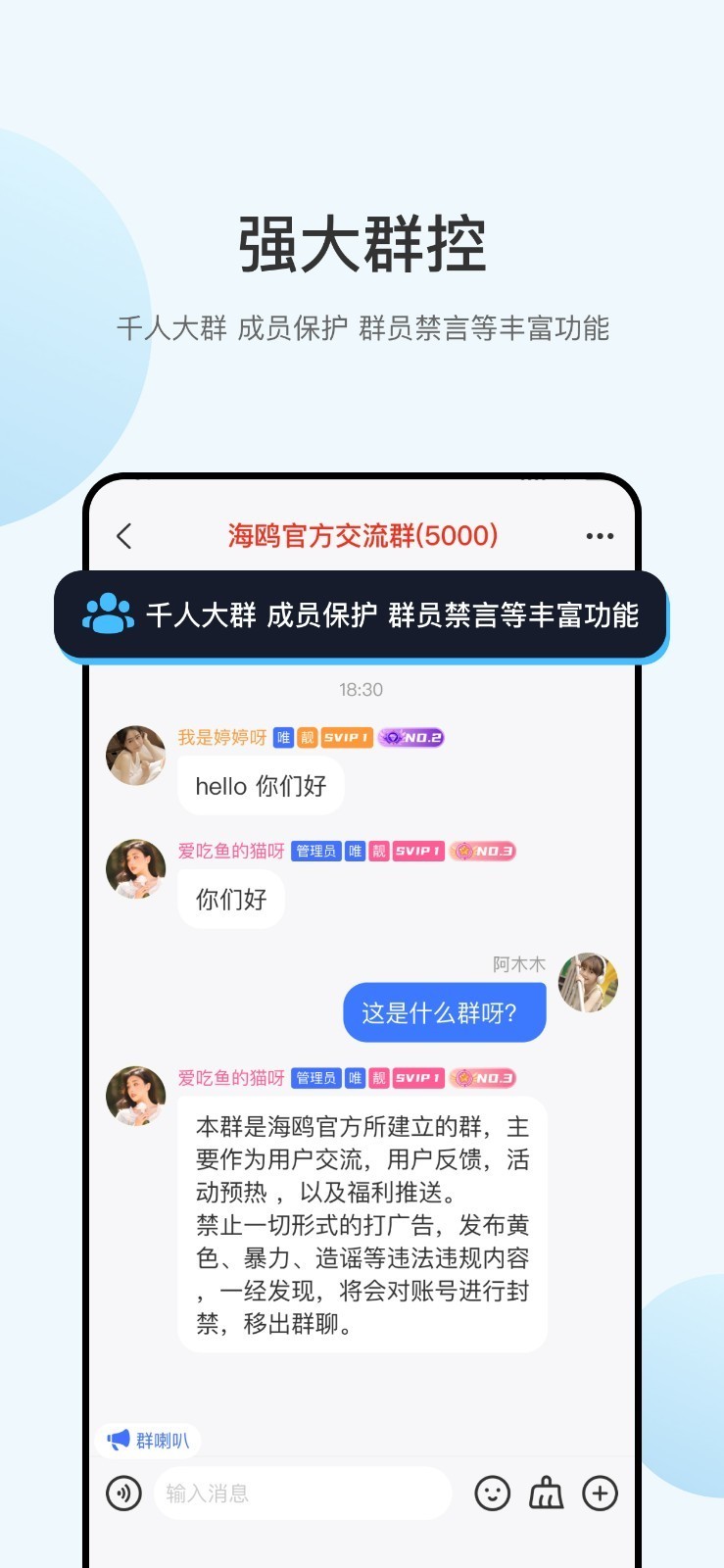海鸥 截图1