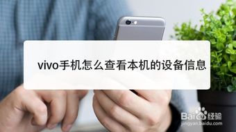 vivo官网查找设备指南 2