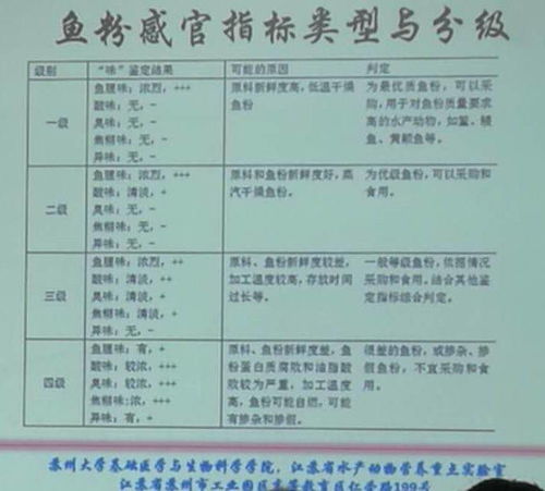 品质管控：深入解析OBA与OQC的核心差异 4