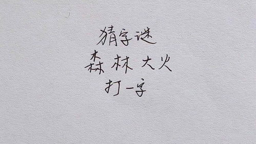 揭秘字谜：林字加一半，非森是何字？ 2