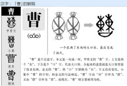 曹字能构成哪些词汇 3