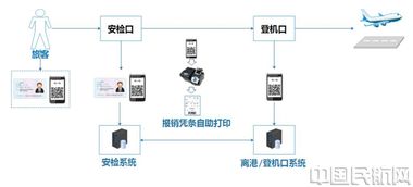 揭秘：乘飞机的全步骤流程指南！ 3