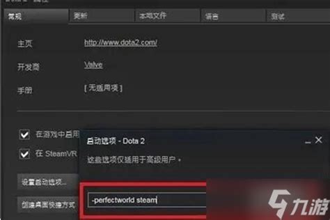 Dota2国服启动项设置指南：轻松解锁游戏新体验！ 2