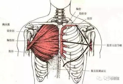 揭秘：类比与比喻，语言魅力中的微妙差异 3