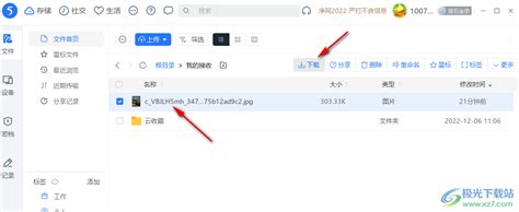 轻松学会：如何下载115网盘链接中的文件 2