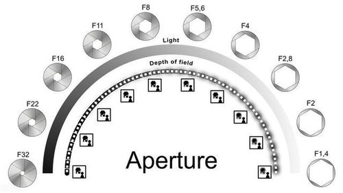 光圈大小对拍摄效果的影响 3