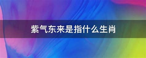 紫气东来，哪个生肖独占鳌头？ 5