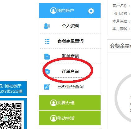 如何查询手机移动账单详单？ 2