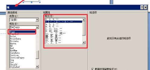 Word页码设置教程：Word2007版详细步骤 2