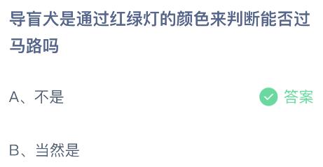 揭秘！导盲犬如何智慧穿越红绿灯路口？ 2