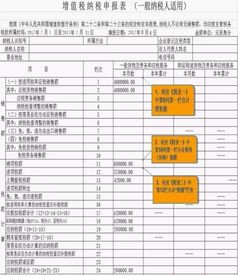 轻松掌握：增值税纳税申报表的正确填写方法 4