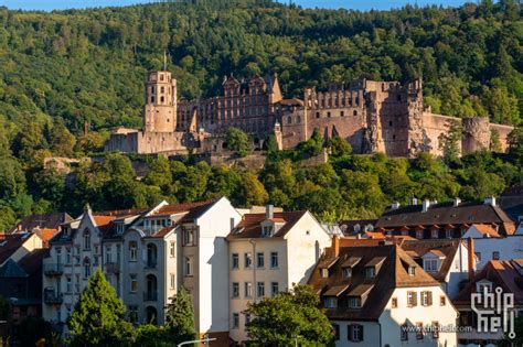 探索“Heidelberg”背后的含义：一段独特的历史与文化之旅 4