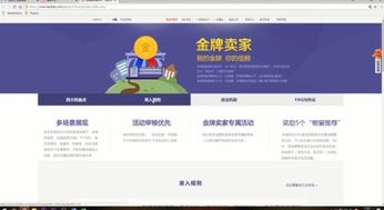 揭秘：淘宝金牌卖家的养成秘籍 1