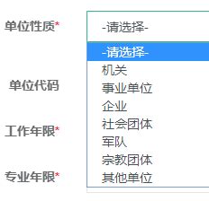 如何准确填写工作单位性质，打造专业简历第一步 3