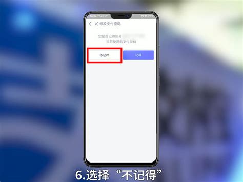 支付宝支付密码遗忘？快速指南：如何轻松重置您的支付密码 2