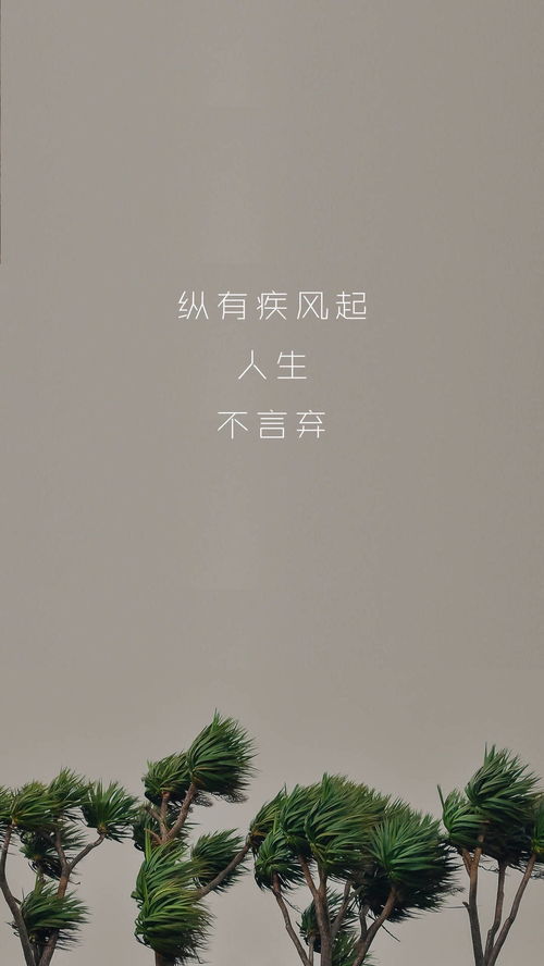 疾风知劲草，人生不言败：风起时，勇往直前铸辉煌 2