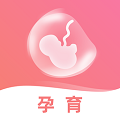 孕期伴侣app