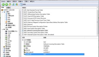 在华硕BIOS中添加SLIC 2.1的方法 4