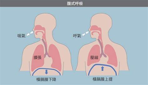 掌握丹田发声技巧，提升唱歌音质与音量 3