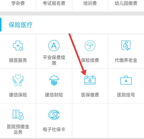 手机如何缴纳医保费用？ 4