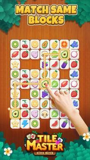 瓷砖块连接大师 截图2