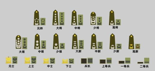 揭秘：韩国军衔等级全览 3