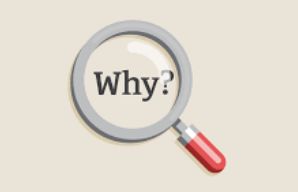 What Does 'Why' Mean? 3