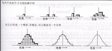 揭秘“LSL”的真正含义，你了解吗？ 2