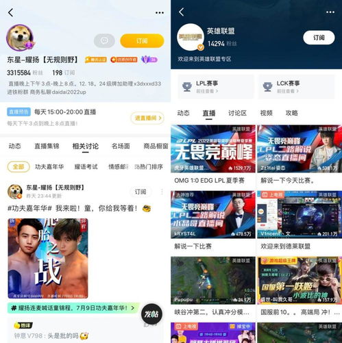 轻松指南：如何在夜月直播APP完成主播认证？ 2