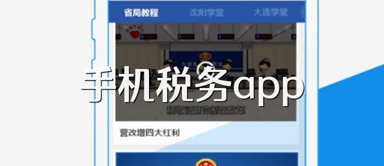 手机税务app