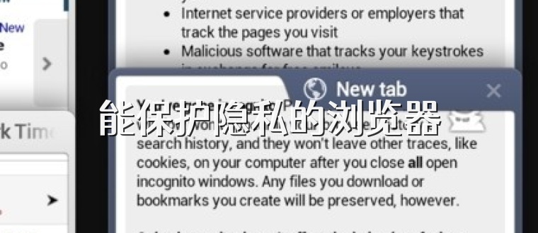 能保护隐私的浏览器