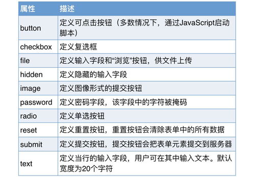 揭秘：input标签那些不可或缺的常用属性 3