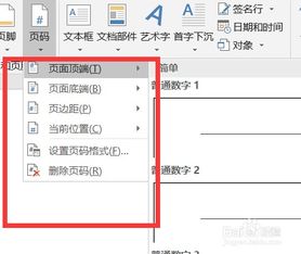 轻松掌握：在Word中文档页码的高效插入技巧 1