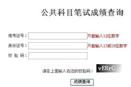 2013年省公务员考试成绩查询方法 4