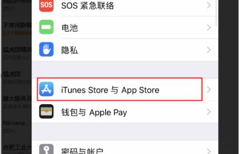 如何理解和使用苹果手机中的iTunes Store？ 2