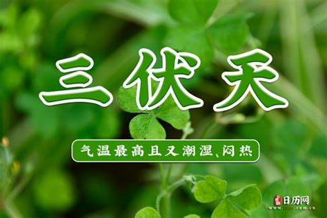 2022年三伏天具体开始日期是哪天？ 2