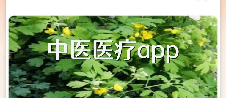 中医医疗app