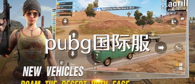 pubg国际服