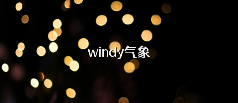 windy气象