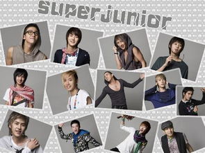 SJ-M新歌《Supergirl》歌词大全 3