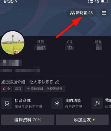 抖音的访客记录在哪里查看？ 2