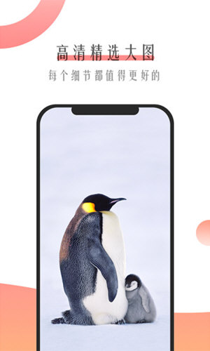 米柚壁纸app 截图3