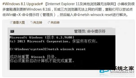 Win8/8.1系统IE浏览器Flash无法显示？快速解决指南！ 4