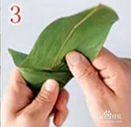 三角粽子包制教程 2