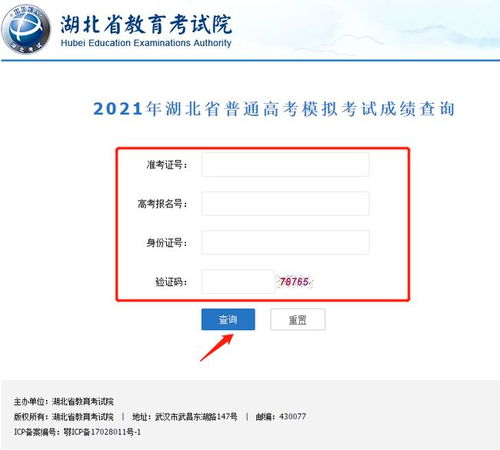 辽宁八省联考成绩查询步骤详解 3