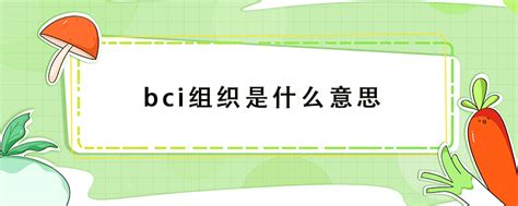 揭秘BCI：这个神秘组织究竟是何方神圣？ 5