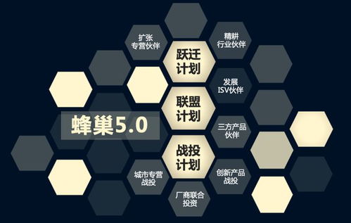 三合一蜂巢进化等级解析 2