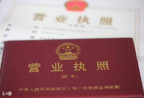 昆明工商注册揭秘：轻松掌握营业执照注册号查询技巧 4